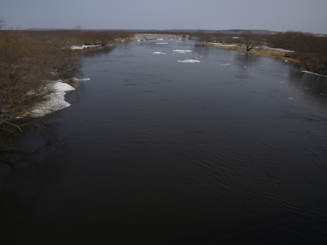 f0020302_221173.jpg