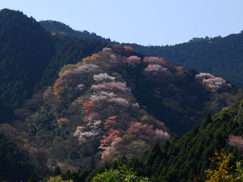 b0014607_19262467.jpg