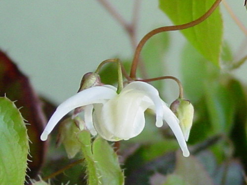 b0052108_20261253.jpg