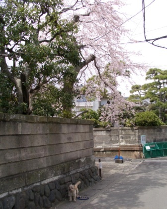 e0078510_2120271.jpg