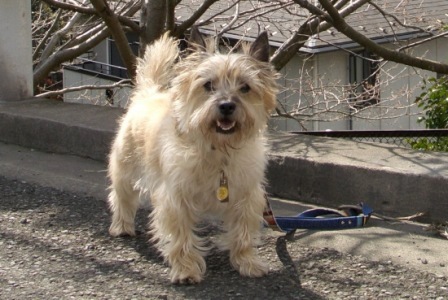 e0078510_2141246.jpg