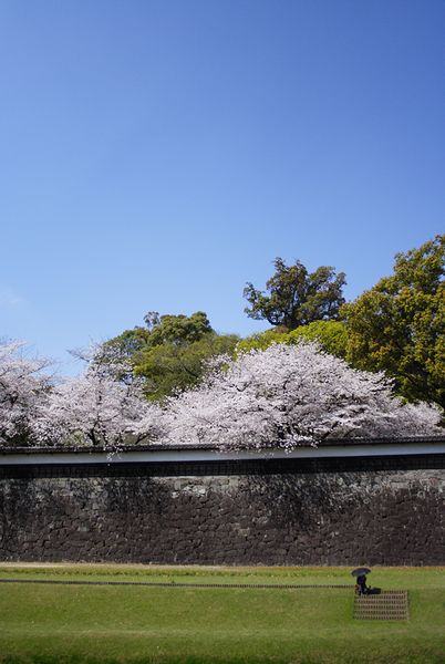 f0129510_0283774.jpg