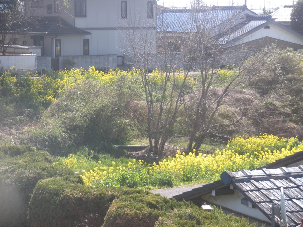 c0003217_10352895.jpg