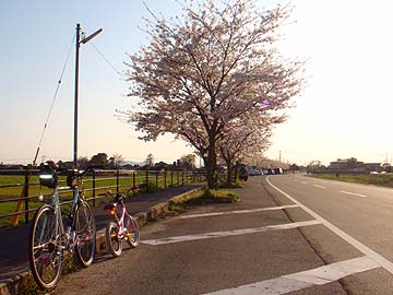 b0146418_23373470.jpg