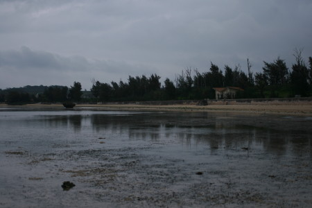 f0097620_23455793.jpg