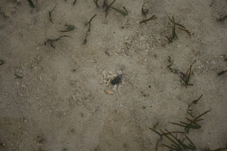 f0097620_23475548.jpg