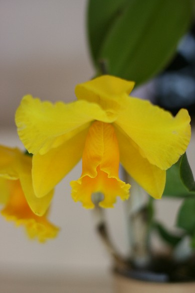 e0128322_3201339.jpg
