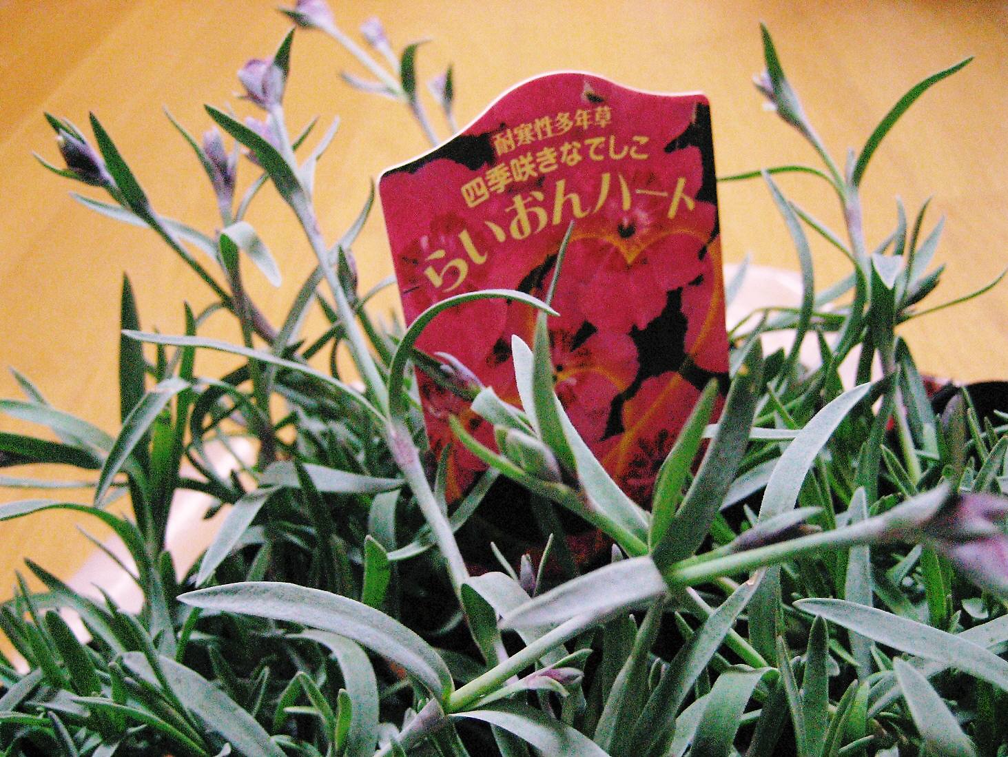 f0031722_2258201.jpg