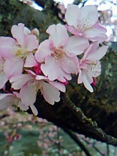 b0137932_20143142.jpg
