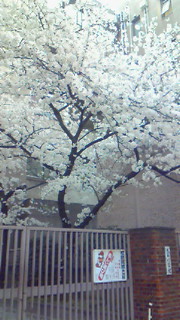 c0125532_20382423.jpg