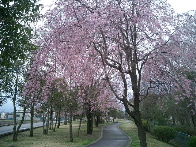 c0114833_1214631.jpg