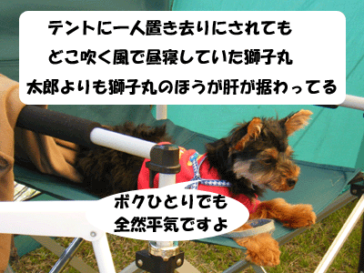 f0008935_1441052.gif