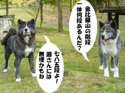 f0008935_14442498.gif