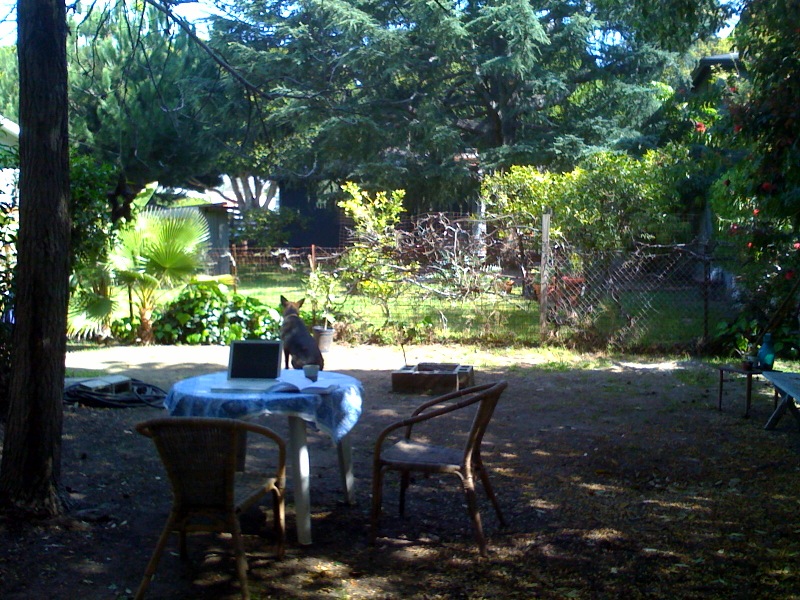 f0156235_1223188.jpg