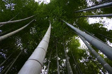 f0124737_22115040.jpg