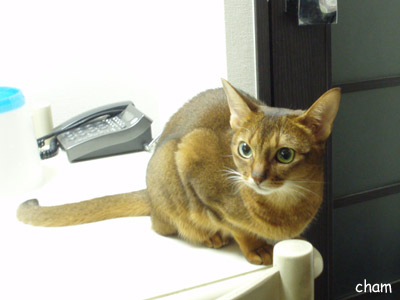 c0132438_21444589.jpg
