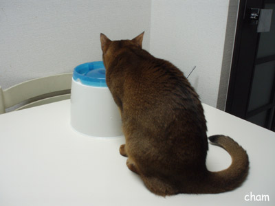 c0132438_2146541.jpg