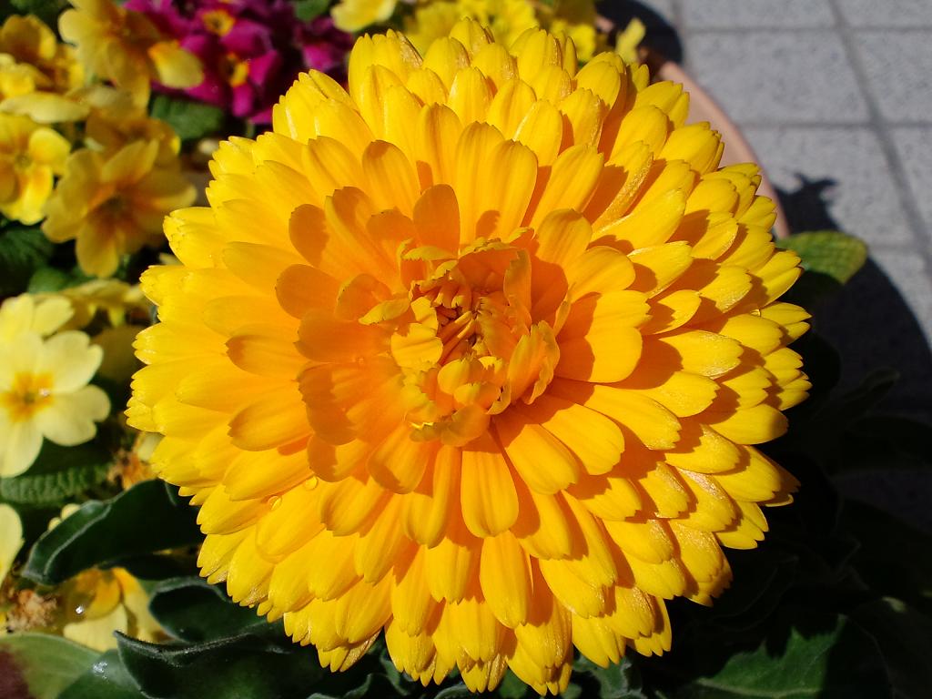 b0076739_233383.jpg