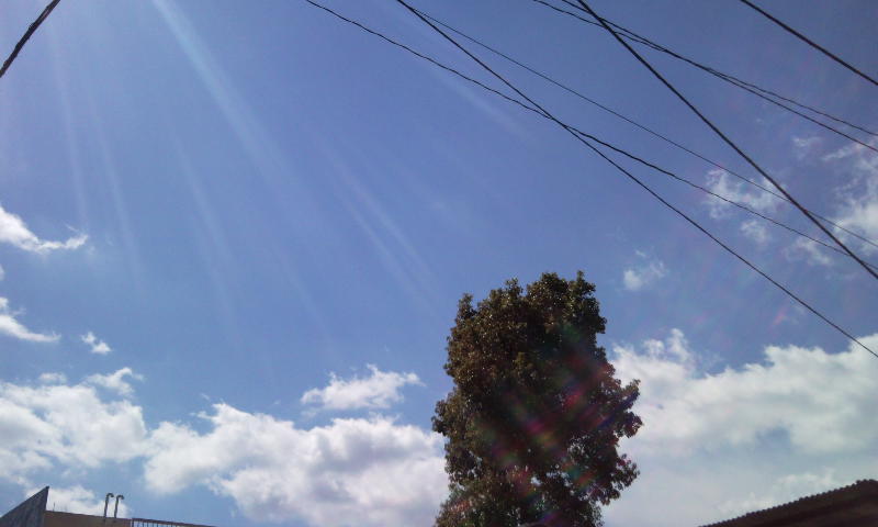 e0150843_1846563.jpg