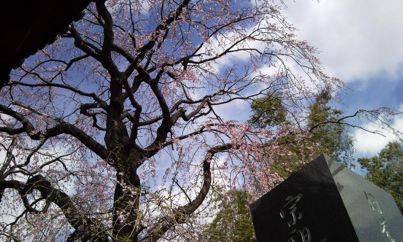 e0150843_18563577.jpg