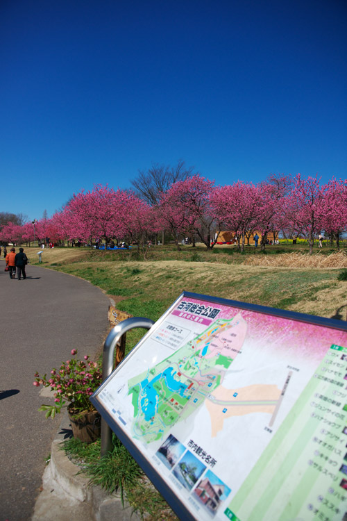 a0003746_18262020.jpg