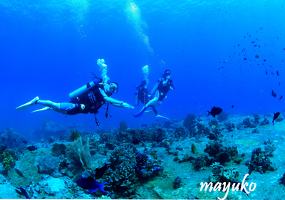 e0027447_15433755.jpg