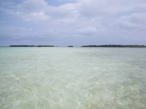 b0042548_22243983.jpg