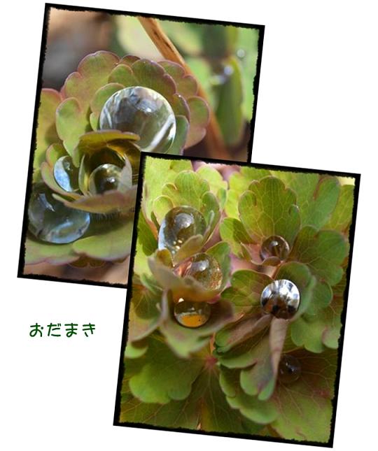 c0145250_12454897.jpg