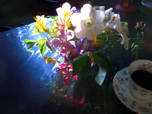 b0005652_2111599.gif