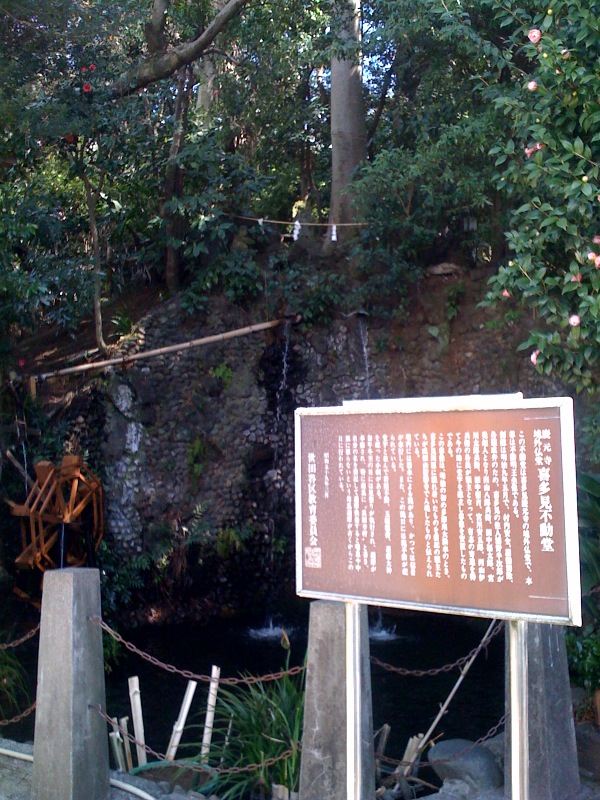 e0026053_1695551.jpg
