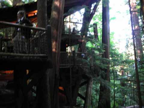 e0176457_8151980.jpg