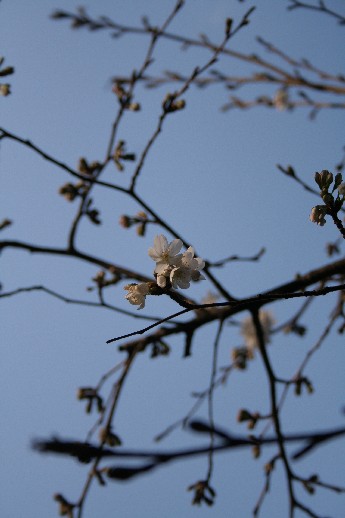 e0068962_1781561.jpg