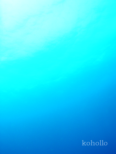 b0062363_18561251.jpg