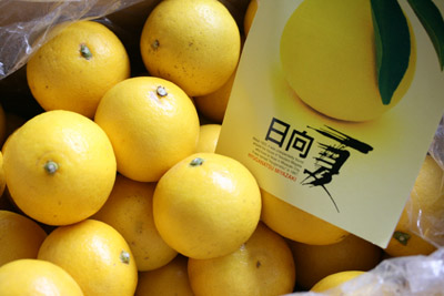 c0117570_13242612.jpg
