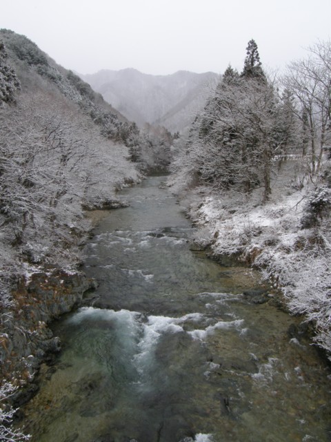 d0134473_17113455.jpg