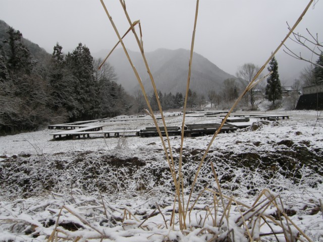 d0134473_17383936.jpg