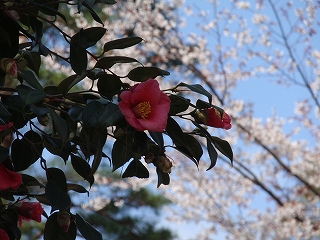 c0105785_1417414.jpg