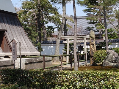 c0105785_1473372.jpg