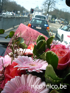 f0060585_2211513.jpg