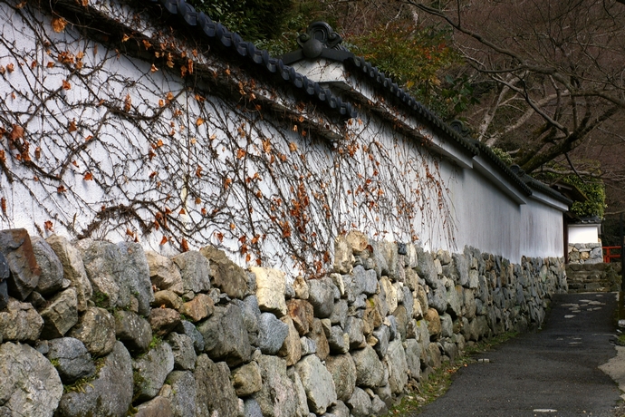 b0080789_1352894.jpg