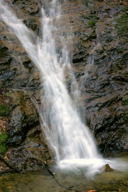 b0080789_156136.jpg