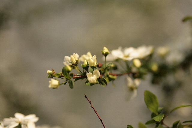 d0133693_17593441.jpg