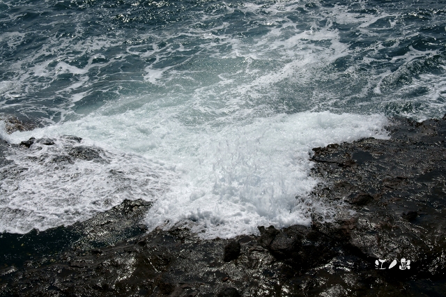 f0110195_064717.jpg