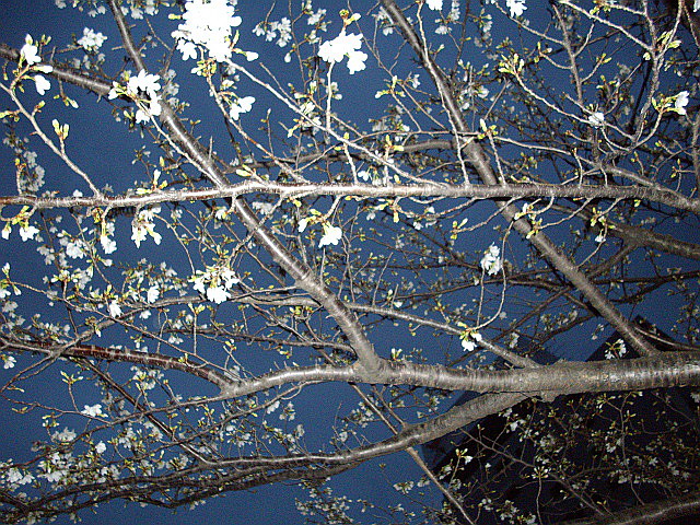 c0138198_22171684.jpg