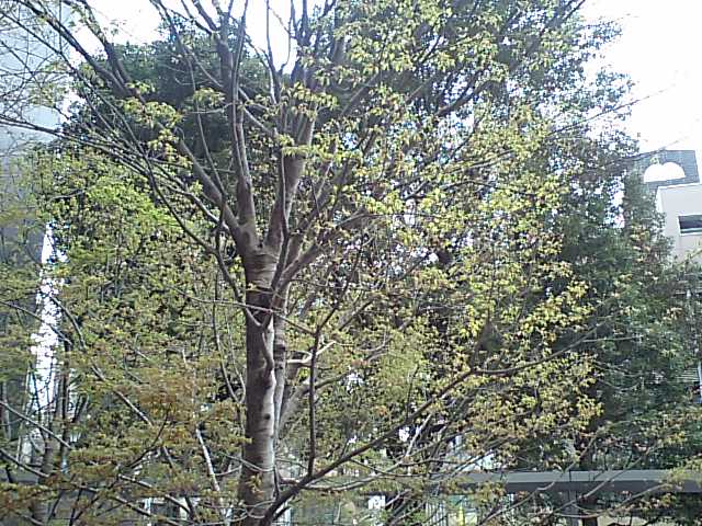 d0054704_220143.jpg