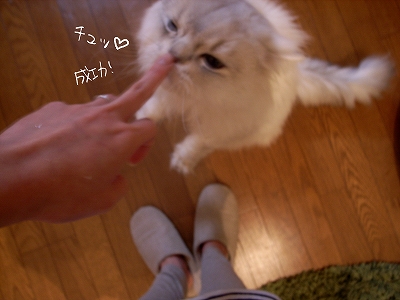 f0195204_185399.jpg