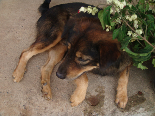 d0126508_09367.jpg