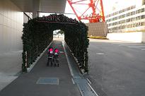 b0167519_1025615.jpg