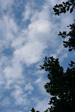 f0097620_091166.jpg