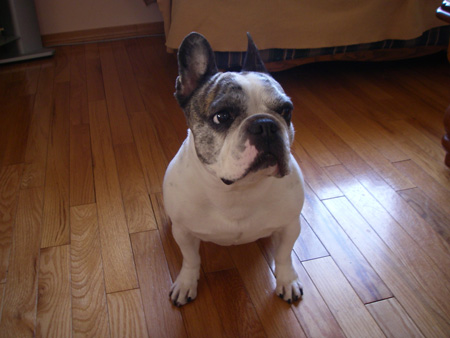 e0008833_10175580.jpg